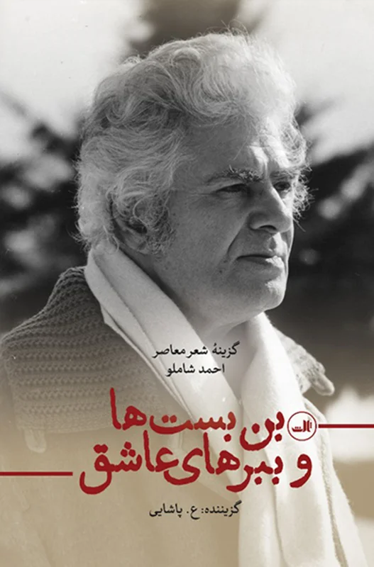 بن بست ها و ببرهای عاشق