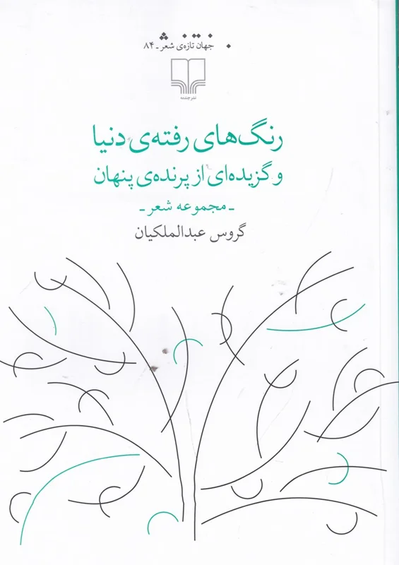 رنگ های رفته ی دنیا و گزیده ای از پرنده ی پنهان